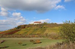 Weinfahrt-29.10.2016-44