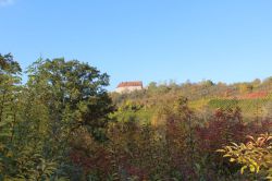 Weinfahrt-29.10.2016-46