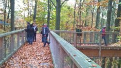 WP_20171021_11_33_17_Pro
